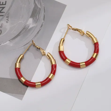 Small colored hoop earrings (Steel)