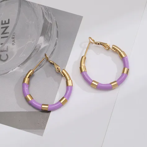 Small colored hoop earrings (Steel)