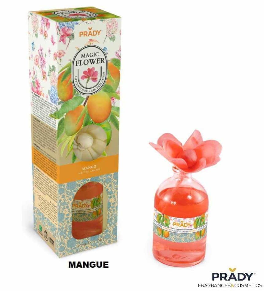 Mikado Fleur Mangue